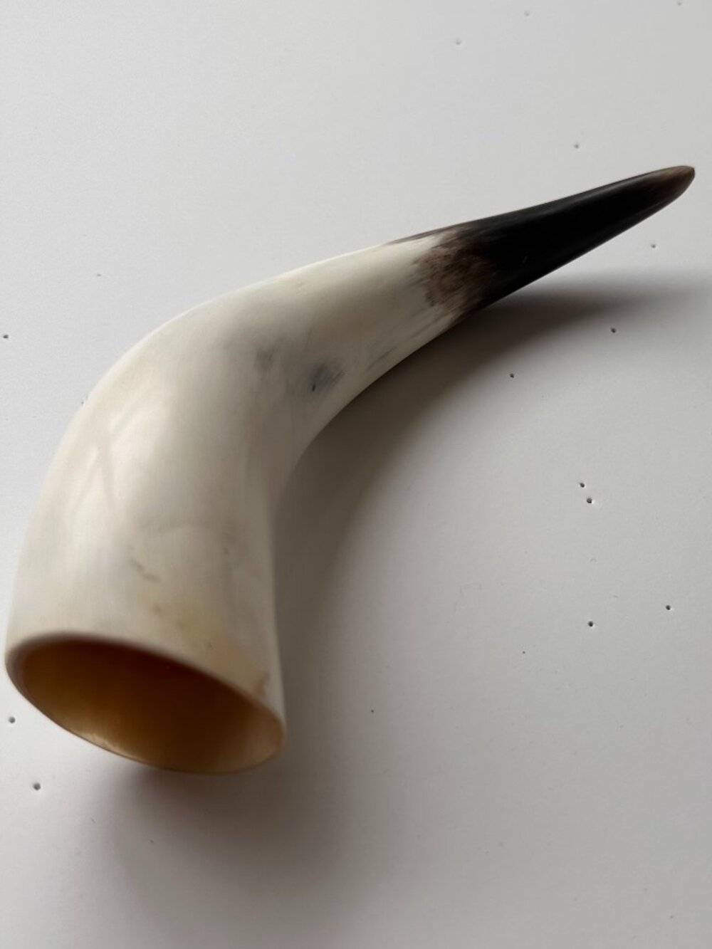 Natural Horn Decorative Tusk / Horn Sculpture – Approx. 6" Tall